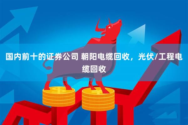 国内前十的证券公司 朝阳电缆回收，光伏/工程电缆回收
