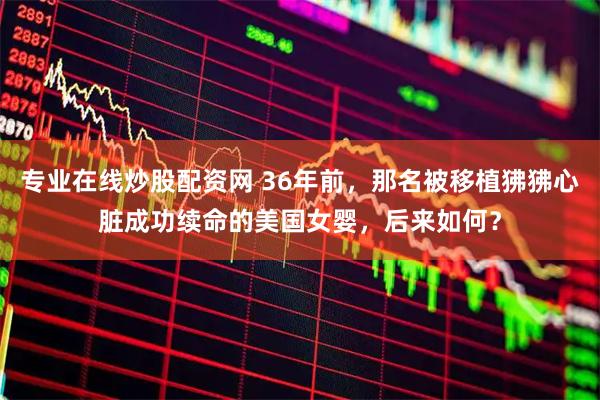 专业在线炒股配资网 36年前，那名被移植狒狒心脏成功续命的美国女婴，后来如何？
