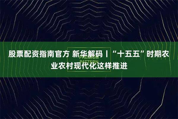 股票配资指南官方 新华解码丨“十五五”时期农业农村现代化这样推进